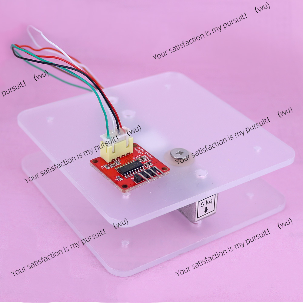 Draagbare elektronische weegsc - Diy Electronics Load Cell recensie en prijs