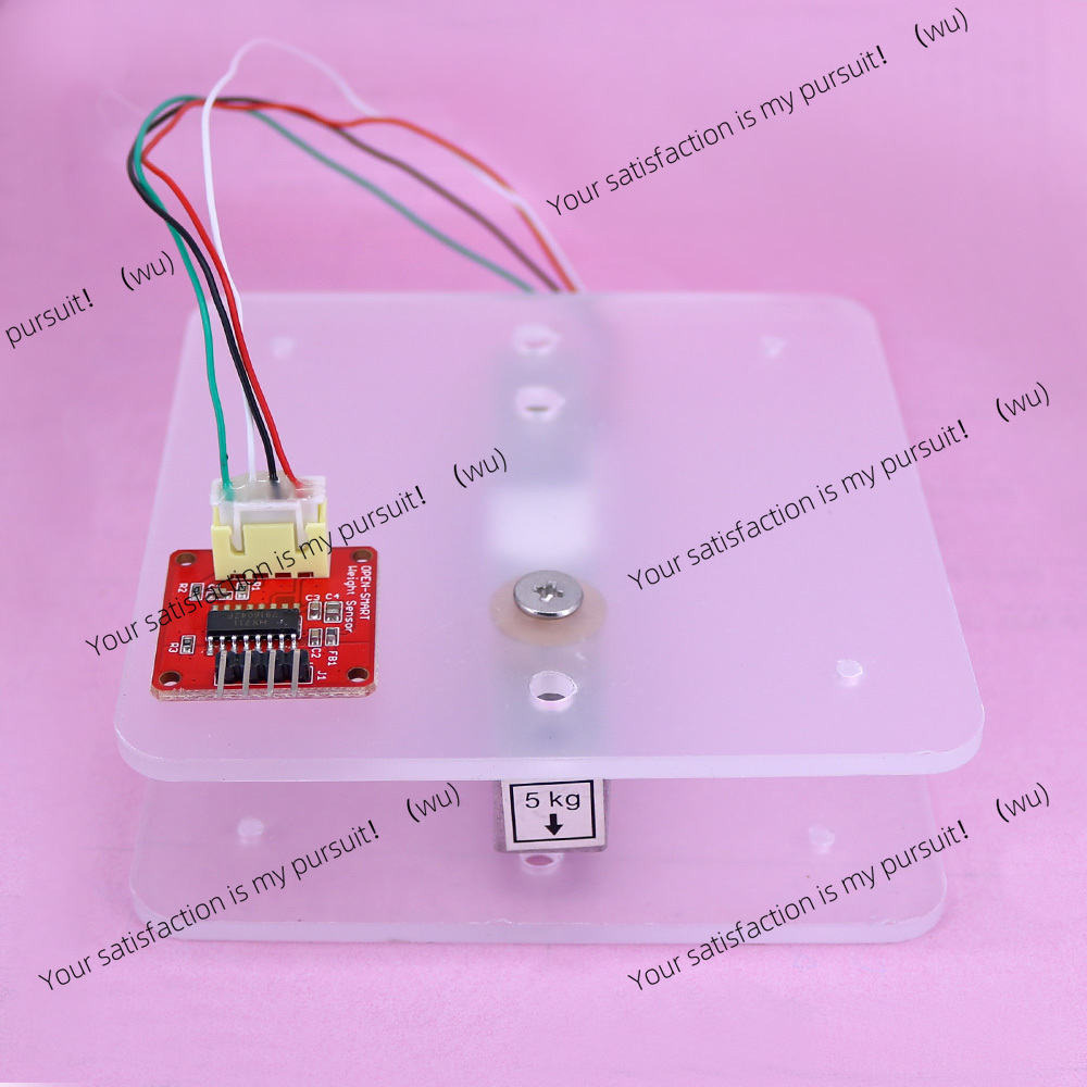 Draagbare elektronische weegsc - Diy Electronics Load Cell recensie en prijs